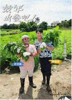 欢乐大本营 影视大全免费追剧网站